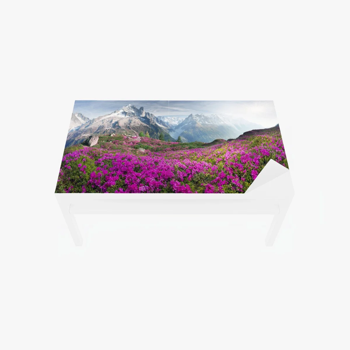 Tischaufkleber und Schreibtischaufkleber alpine rhododendronwiese bei Mont Blanc – Wallnifity® Tischaufkleber und Schreibtischaufkleber alpine rhododendronwiese bei Mont Blanc – Wallnifity®