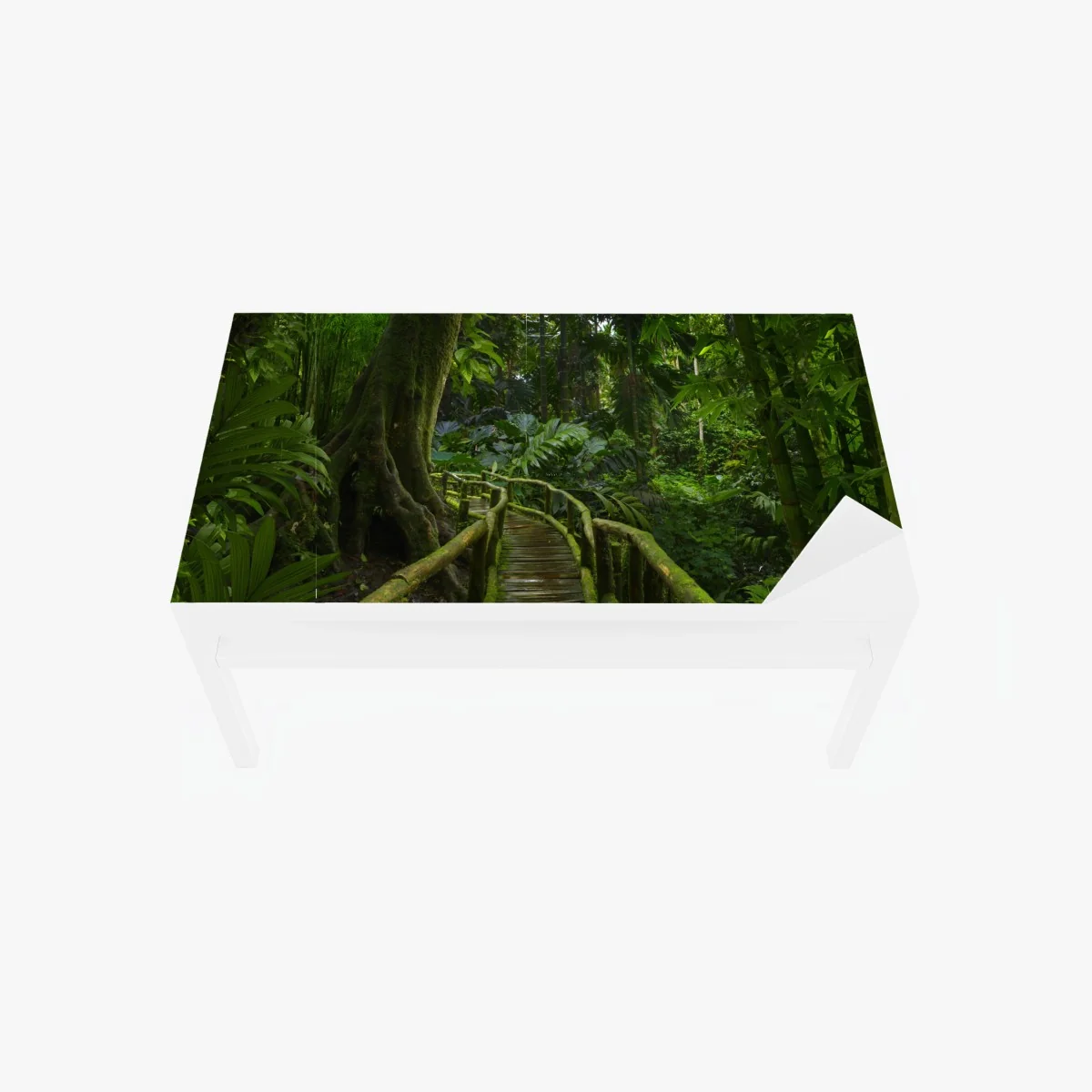 Tischaufkleber und Schreibtischaufkleber ruhiger dschungelsteg durch üppigen regenwald – Wallnifity® Tischaufkleber und Schreibtischaufkleber ruhiger dschungelsteg durch üppigen regenwald – Wallnifity®