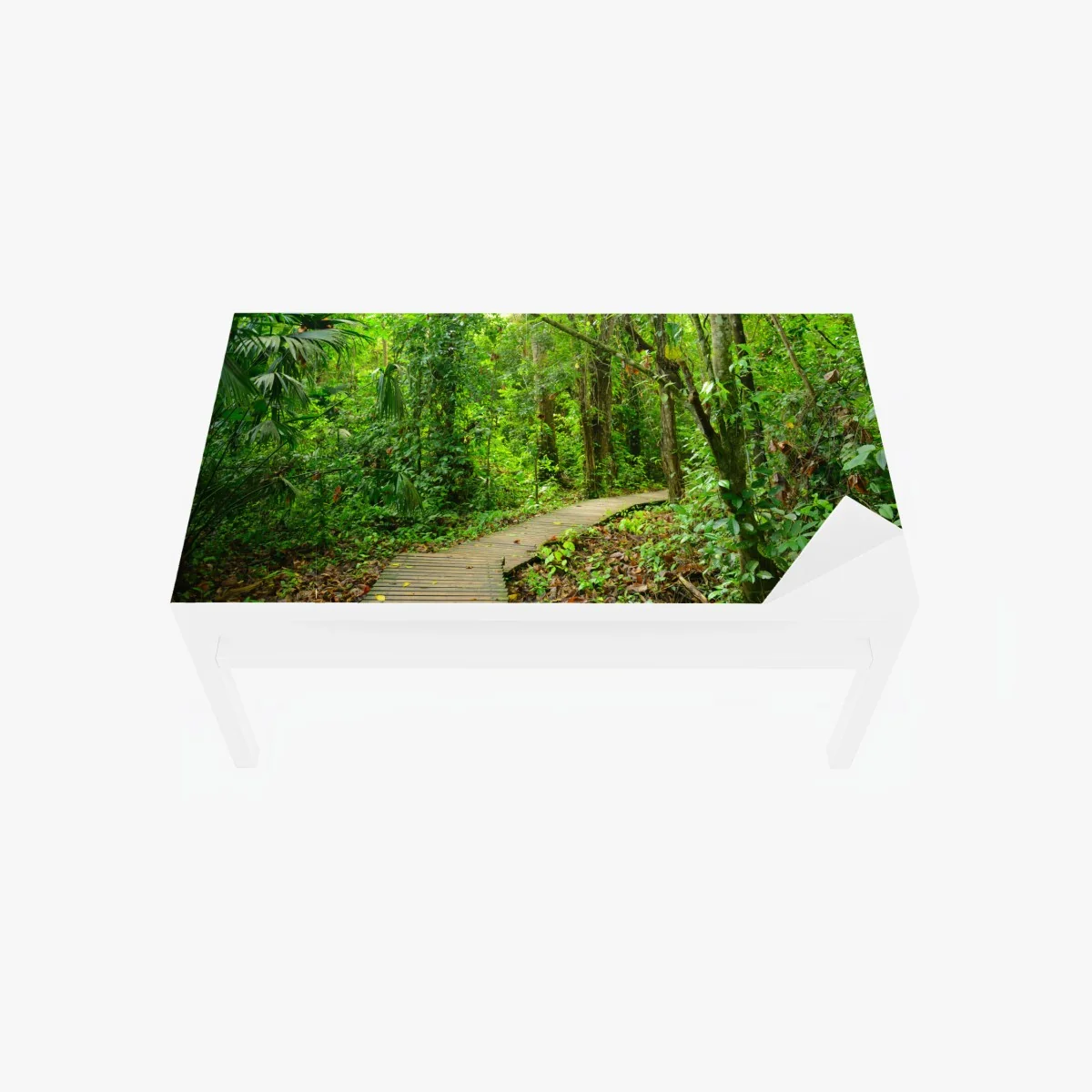 Tischaufkleber und Schreibtischaufkleber tropischer steg im üppigen wald – Wallnifity® Tischaufkleber und Schreibtischaufkleber tropischer steg im üppigen wald – Wallnifity®