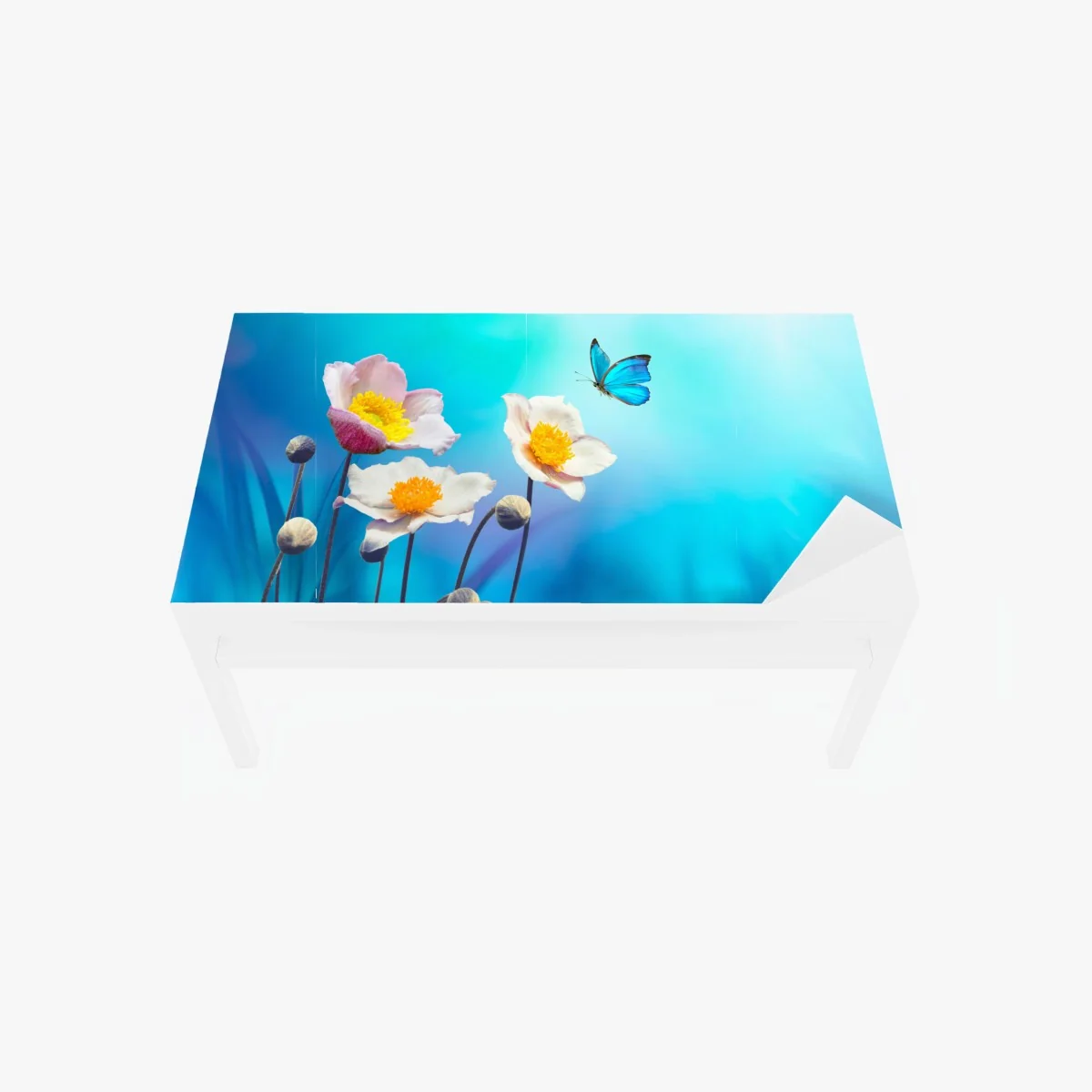 Tischaufkleber und Schreibtischaufkleber zarte rosa anemonen und blauer schmetterling – Wallnifity® Tischaufkleber und Schreibtischaufkleber zarte rosa anemonen und blauer schmetterling – Wallnifity®