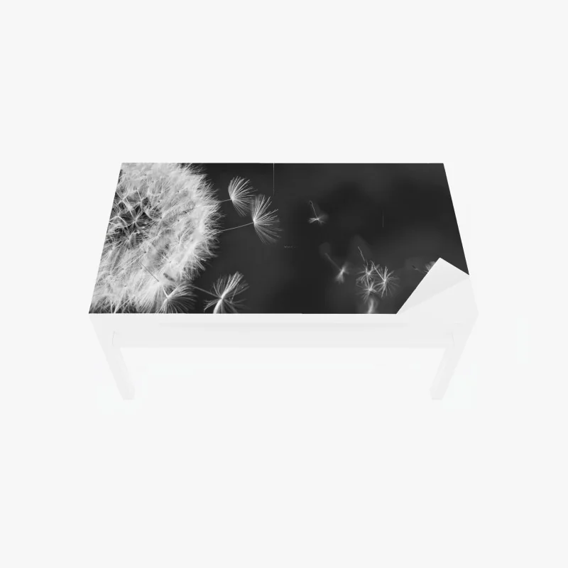 Tischaufkleber und Schreibtischaufkleber schwebende löwenzahnsamen