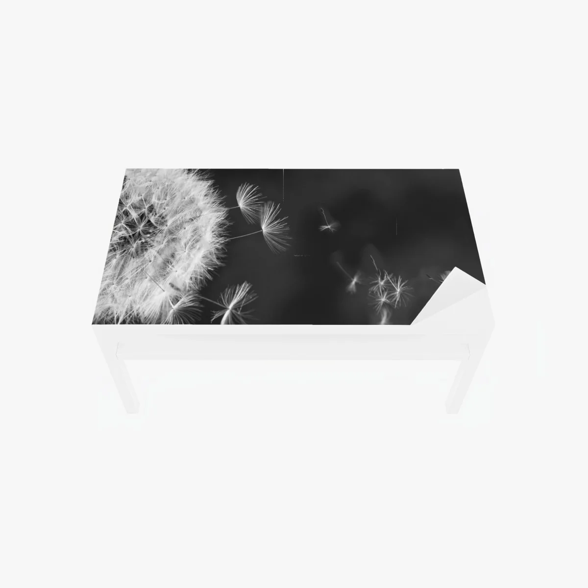 Tischaufkleber und Schreibtischaufkleber schwebende löwenzahnsamen – Wallnifity® Tischaufkleber und Schreibtischaufkleber schwebende löwenzahnsamen – Wallnifity®