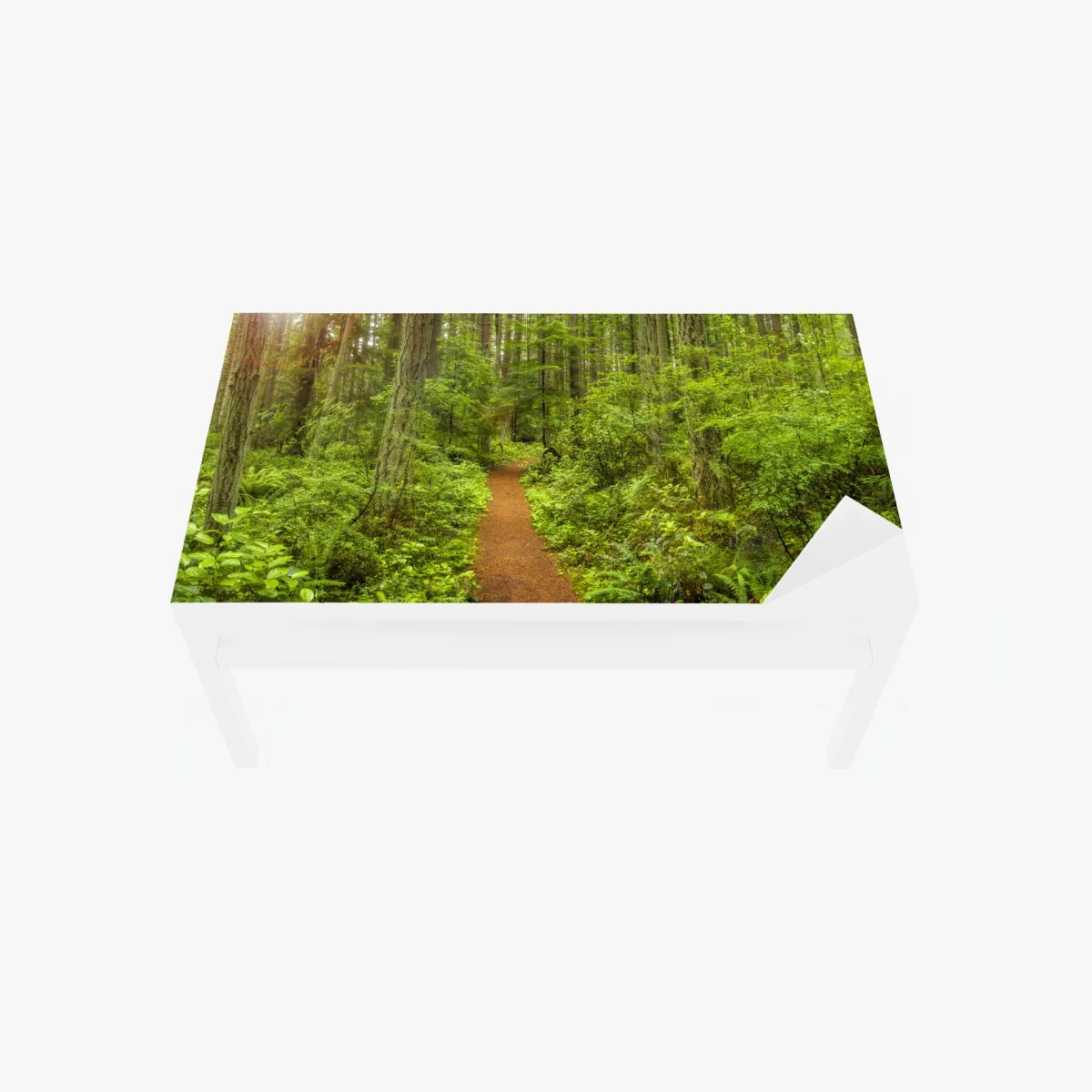 Tischaufkleber und Schreibtischaufkleber friedlicher waldpfad – Wallnifity® Tischaufkleber und Schreibtischaufkleber friedlicher waldpfad – Wallnifity®