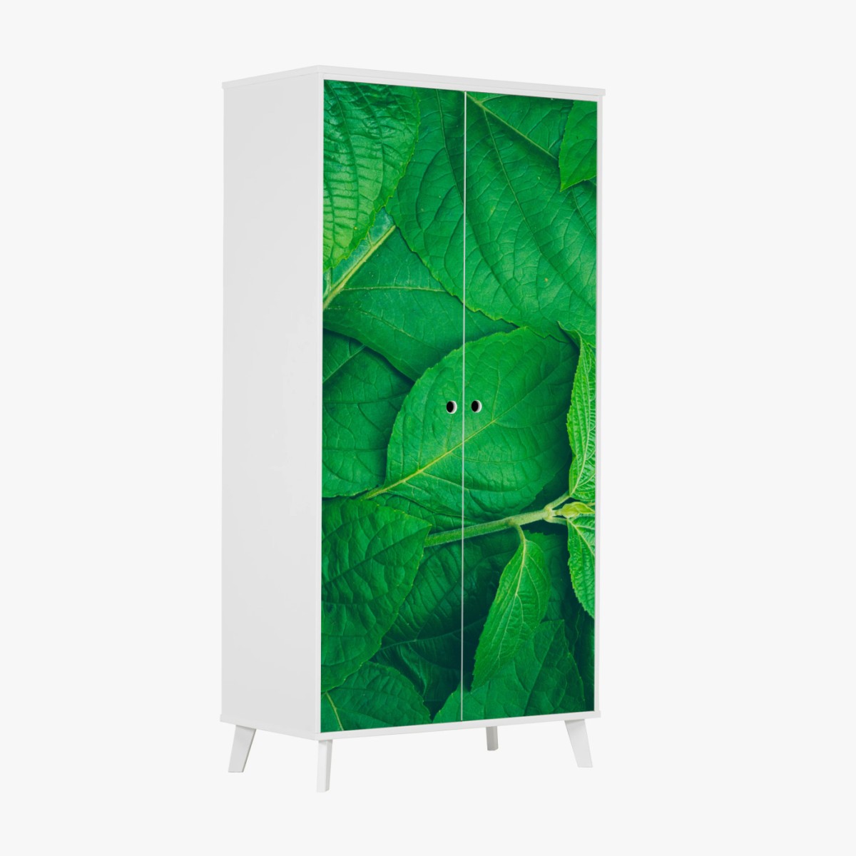 Schrankaufkleber saftige grüne blätter – Wallnifity®