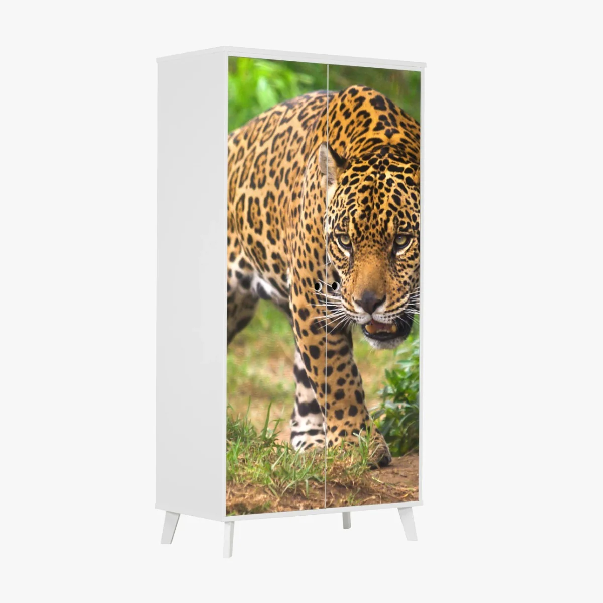 Schrankaufkleber majestätischer jaguar in freier wildbahn – Wallnifity®