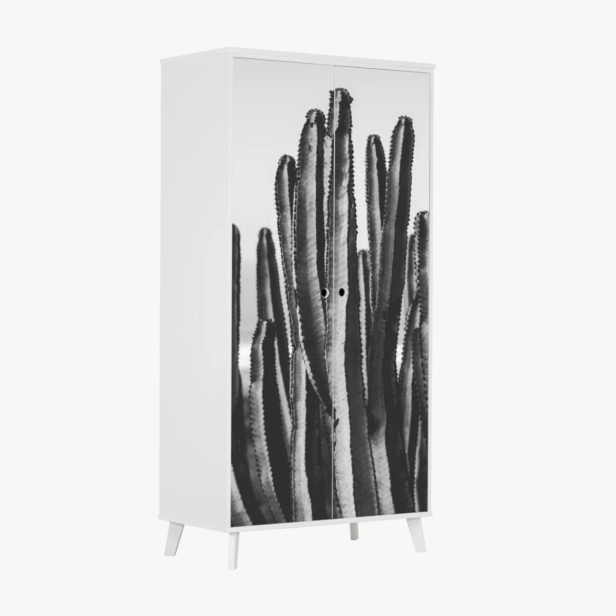 Schrankaufkleber schwarzweiß kaktus nahaufnahme – Wallnifity® Schrankaufkleber schwarzweiß kaktus nahaufnahme – Wallnifity®