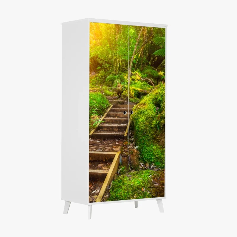 Schrankaufkleber moosiger regenwaldpfad auf der Tasman-Halbinsel