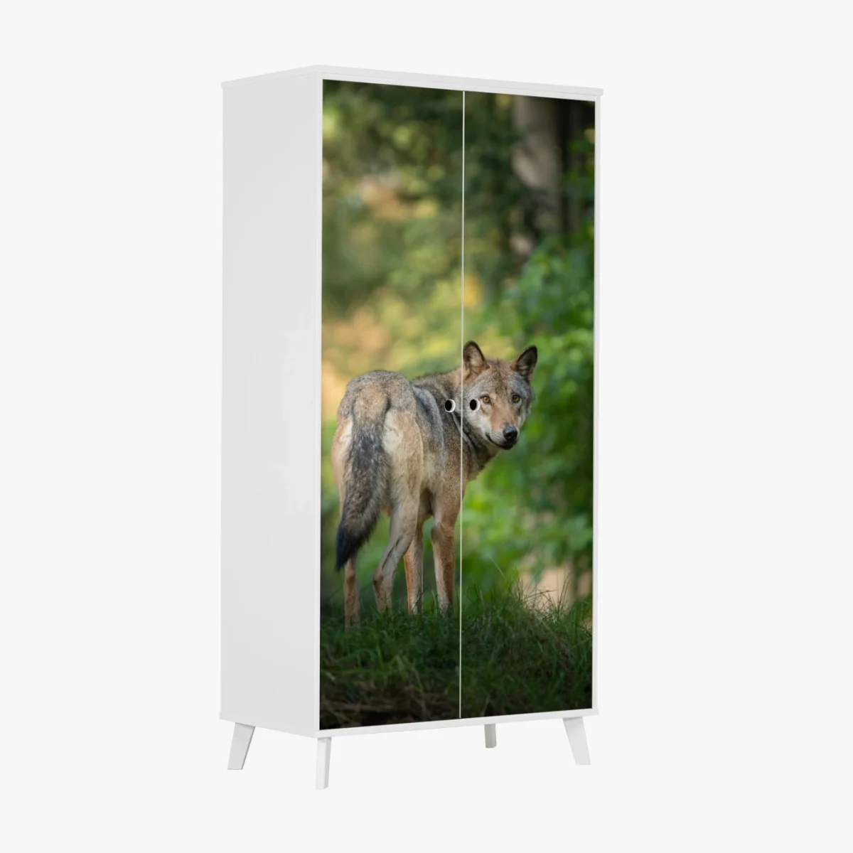 Schrankaufkleber wolf auf der lichtung im wald – Wallnifity® Schrankaufkleber wolf auf der lichtung im wald – Wallnifity®