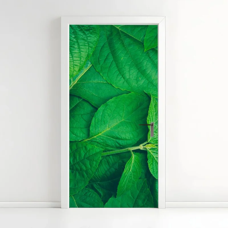 Türaufkleber saftige grüne blätter