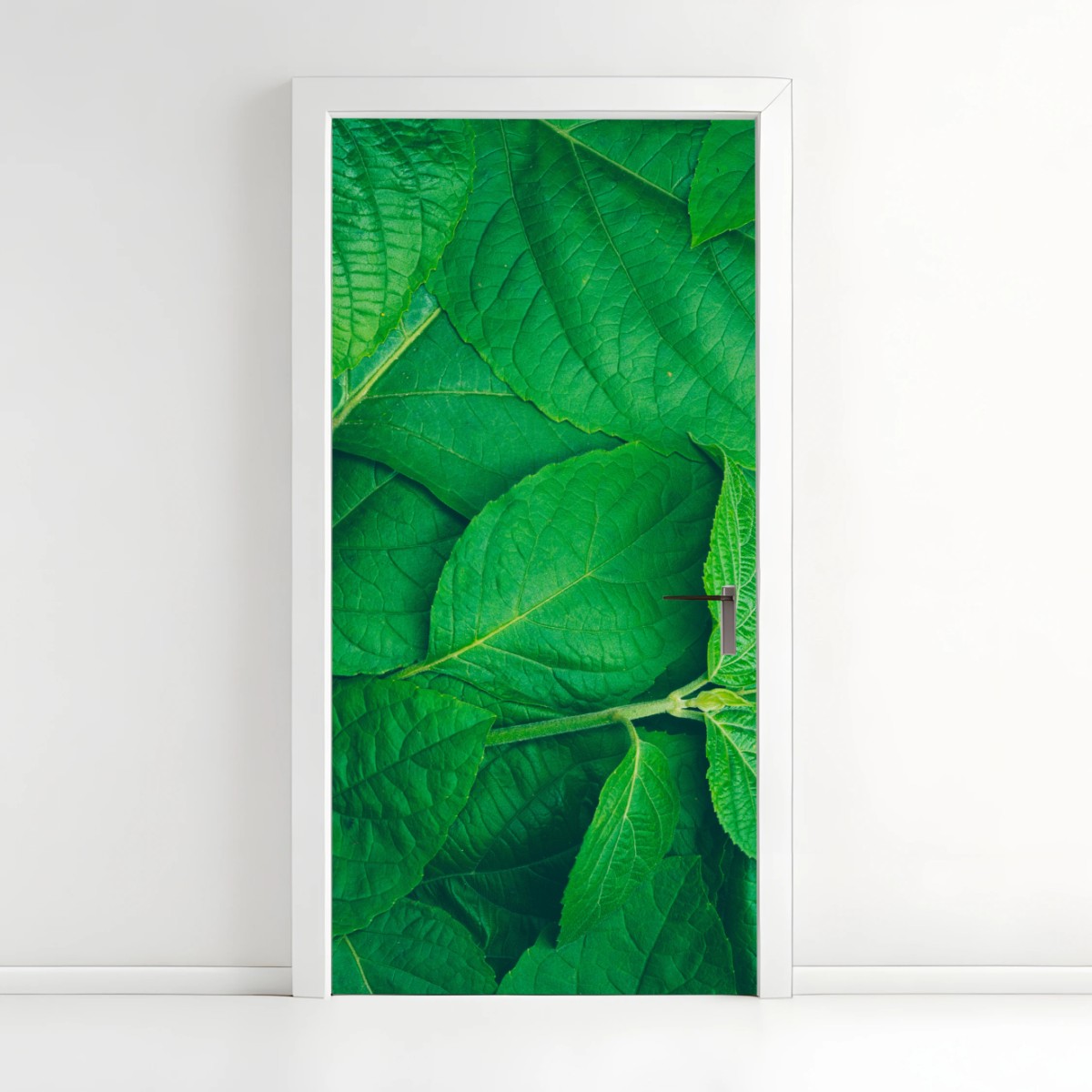 Türaufkleber saftige grüne blätter – Wallnifity®