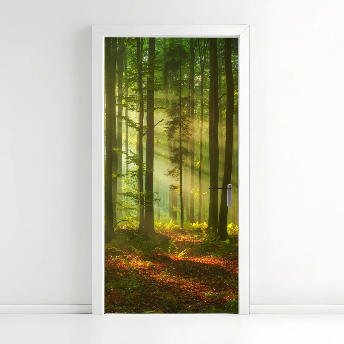 Türaufkleber morgendliches licht im grünen wald – Wallnifity®