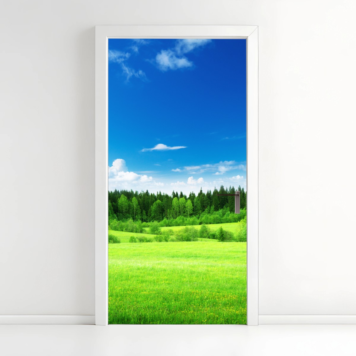 Türaufkleber frühlingswiese unter blauem himmel – Wallnifity®