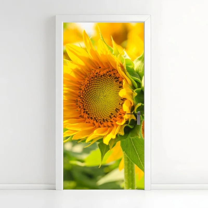 Türaufkleber sonnenblume nahaufnahme