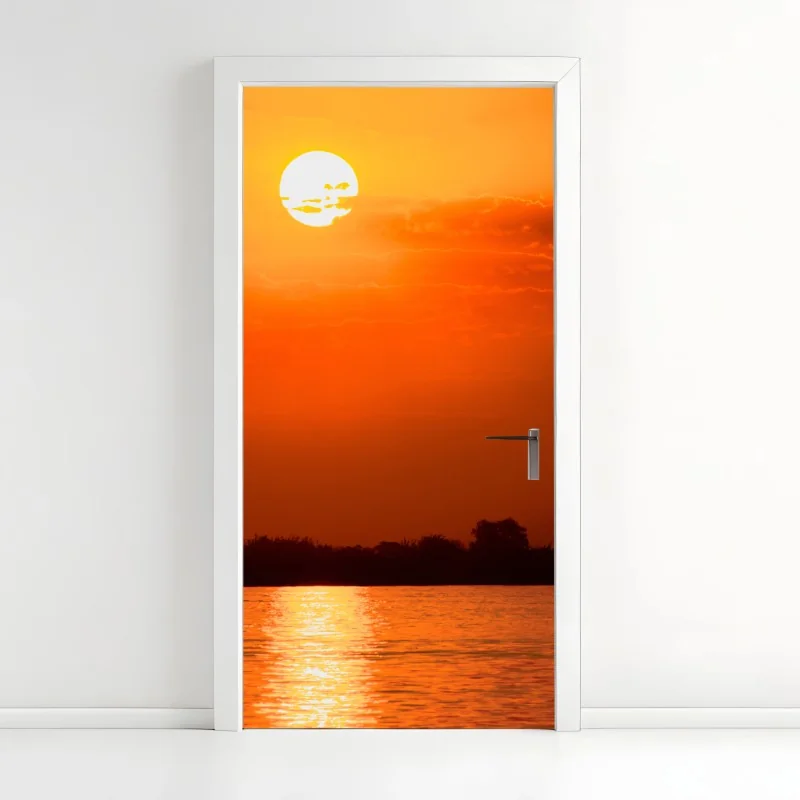 Türaufkleber elegante geigerin silhouette – Wallnifity®