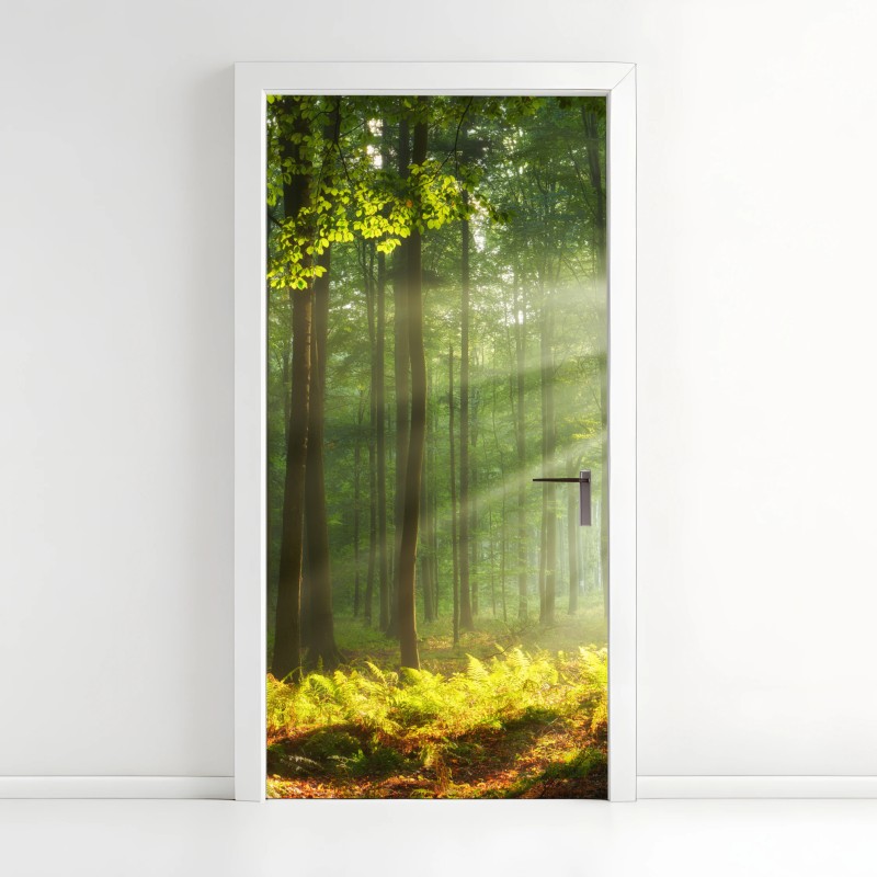 Türaufkleber sonniger morgenwald
