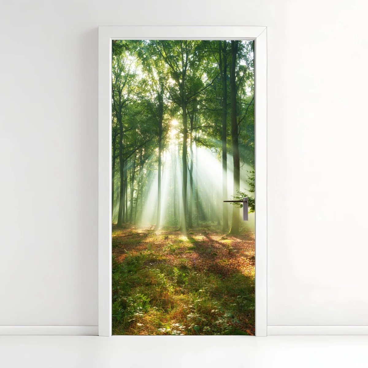 Türaufkleber morgendliches licht im wald – Wallnifity®