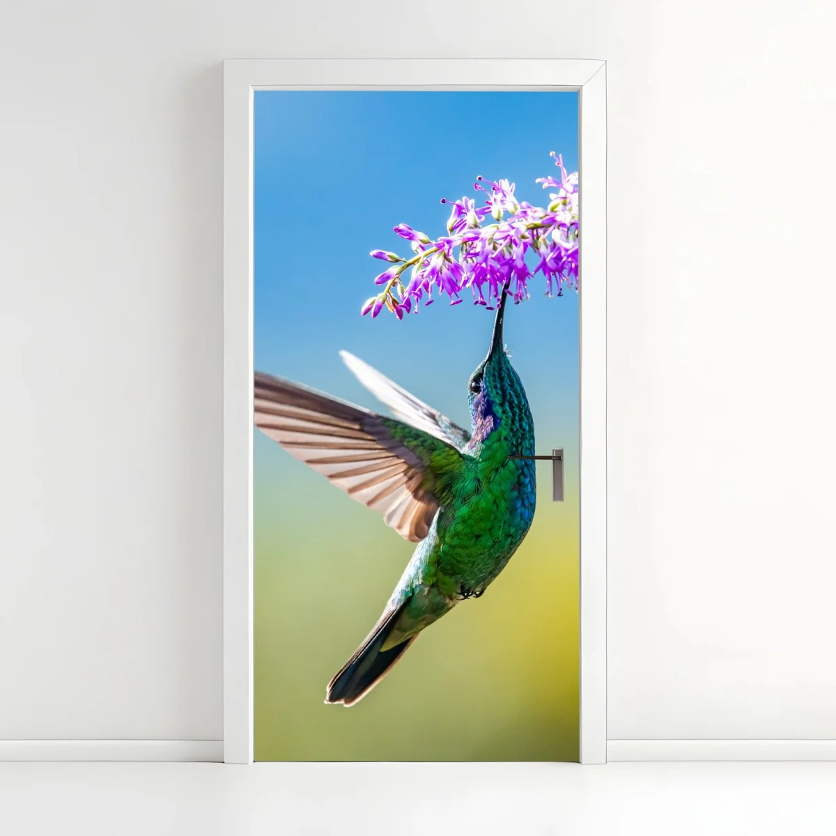 Türaufkleber kolibri an violetter blüte – Wallnifity®
