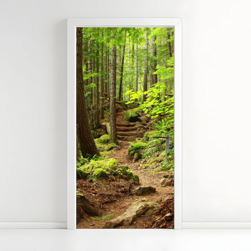 Türaufkleber moosiger waldpfad