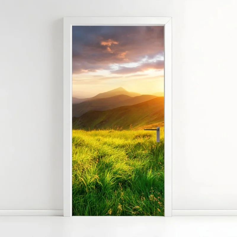 Türaufkleber pfingstrosenwiese im frühling — impasto blumenbild – Wallnifity®