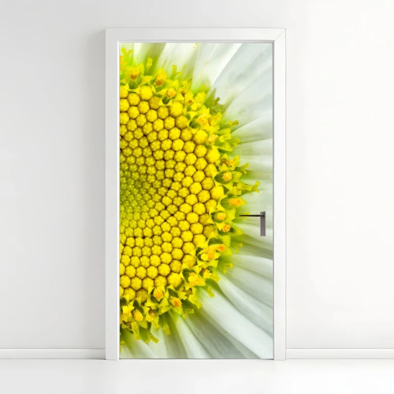 Türaufkleber makro gänseblümchen spiralmuster