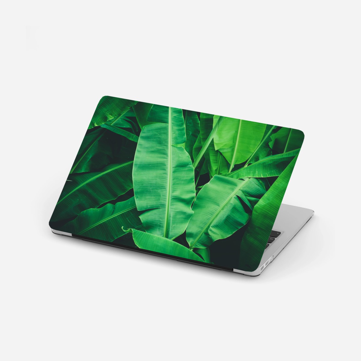 Laptop-Aufkleber tropische bananenblätter – Wallnifity®