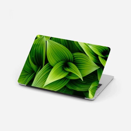 Laptop-Aufkleber üppige grüne blätter – Wallnifity®
