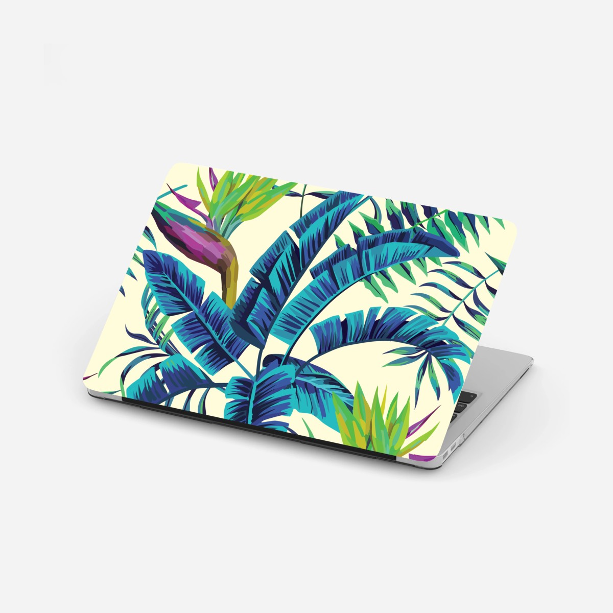 Laptop-Aufkleber tropische türkisblätter – Wallnifity® Laptop-Aufkleber tropische türkisblätter – Wallnifity®