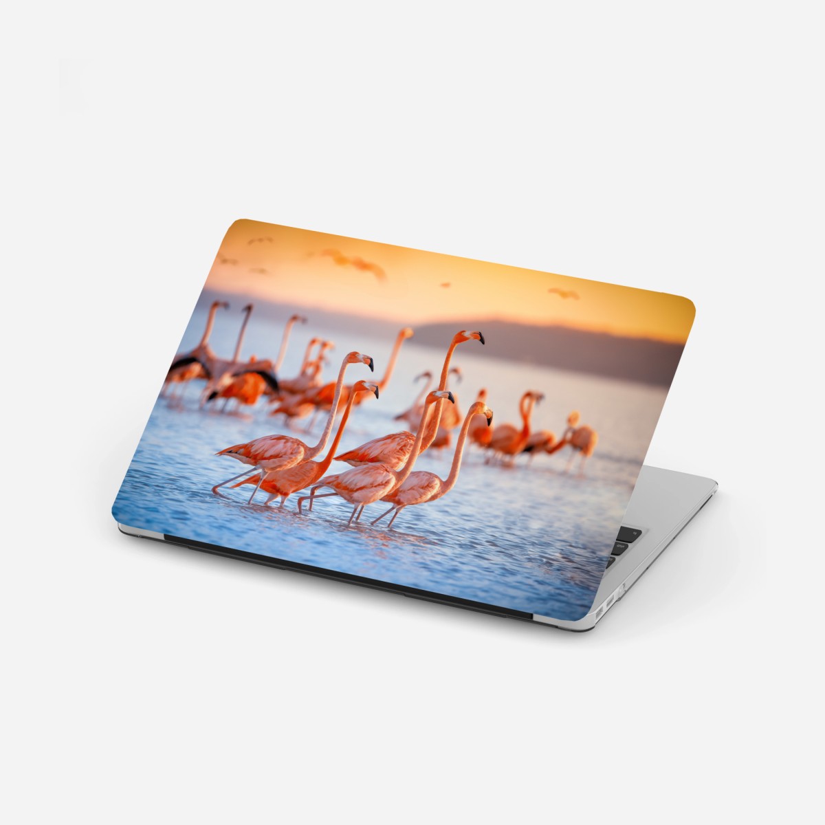 Laptop-Aufkleber rosa flamingos bei sonnenuntergang – Wallnifity® Laptop-Aufkleber rosa flamingos bei sonnenuntergang – Wallnifity®
