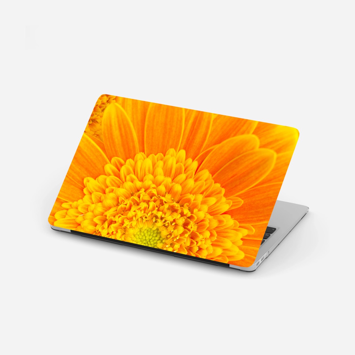 Laptop-Aufkleber intensive orange gerbera nahaufnahme – Wallnifity®