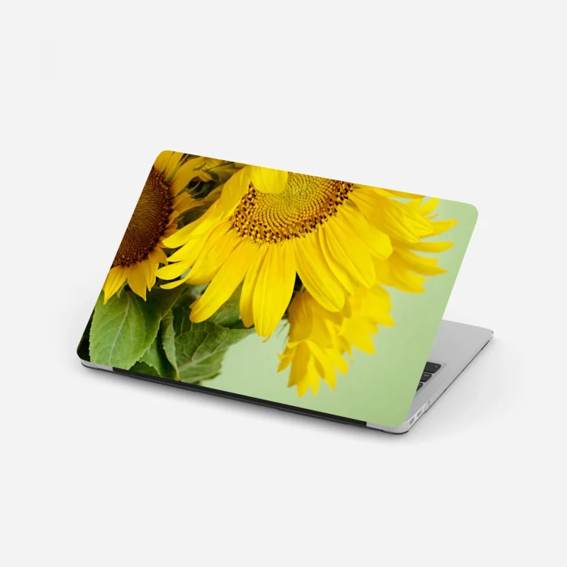Laptop-Aufkleber heller sonnenblumenstrauß auf grünem hintergrund