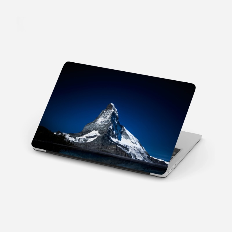 Laptop-Aufkleber zarter löwenzahn in monochrom – Wallnifity®