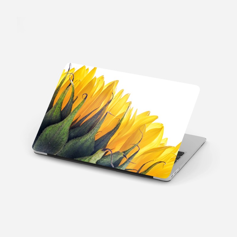 Laptop-Aufkleber sonnenblume in der ecke auf weißem hintergrund