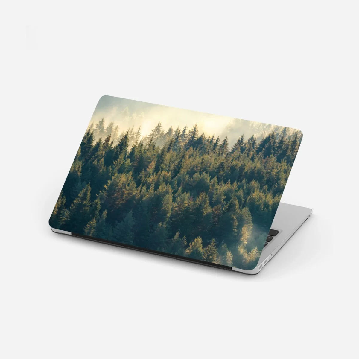 Laptop-Aufkleber nebliger kiefernwald im morgenlicht – Wallnifity® Laptop-Aufkleber nebliger kiefernwald im morgenlicht – Wallnifity®