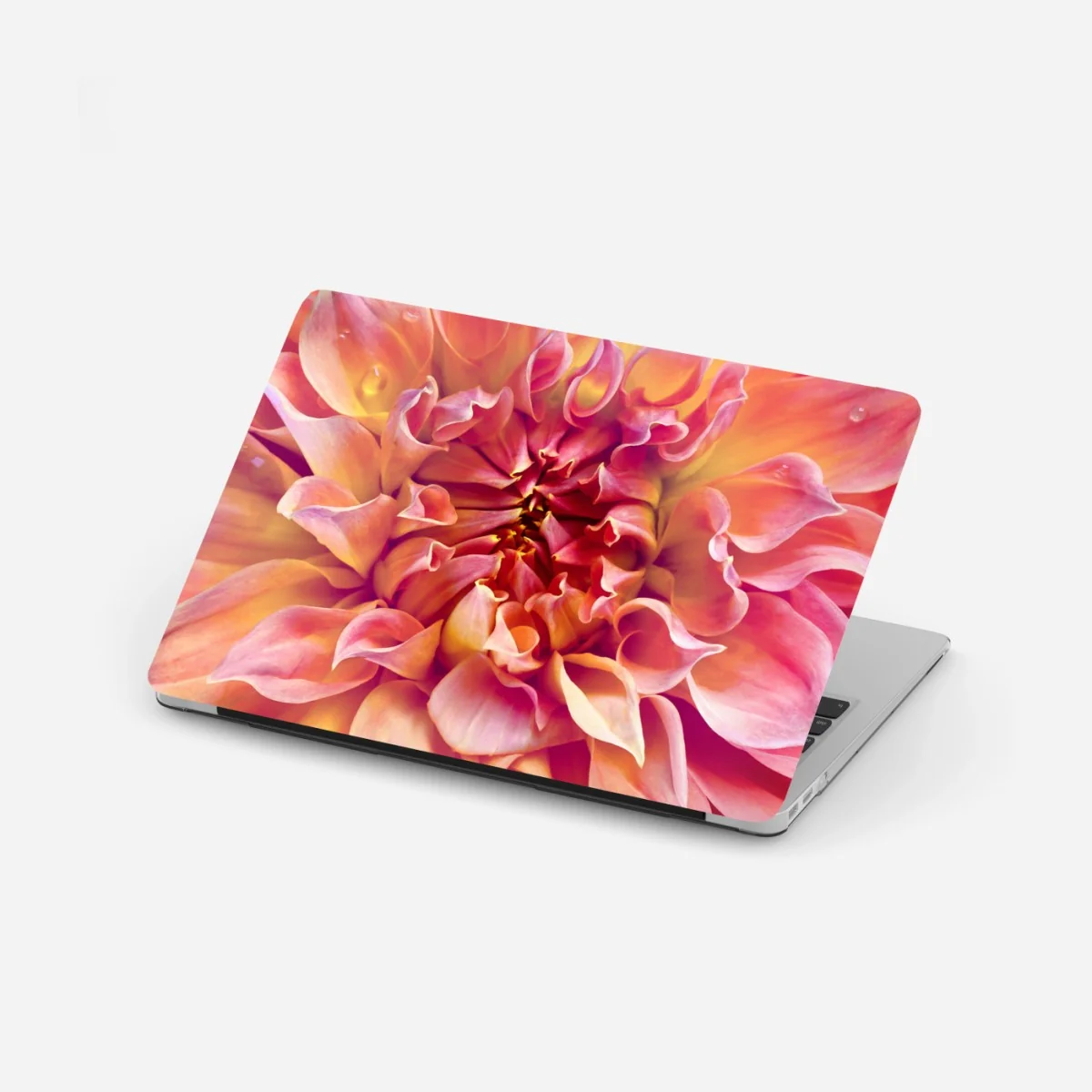 Laptop-Aufkleber rosa dahlie nahaufnahme – Wallnifity®