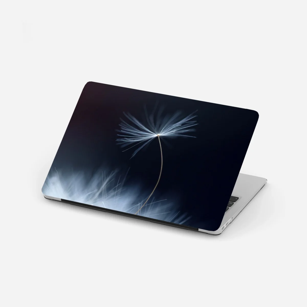 Laptop-Aufkleber zarte makroaufnahme eines löwenzahnsamens – Wallnifity®