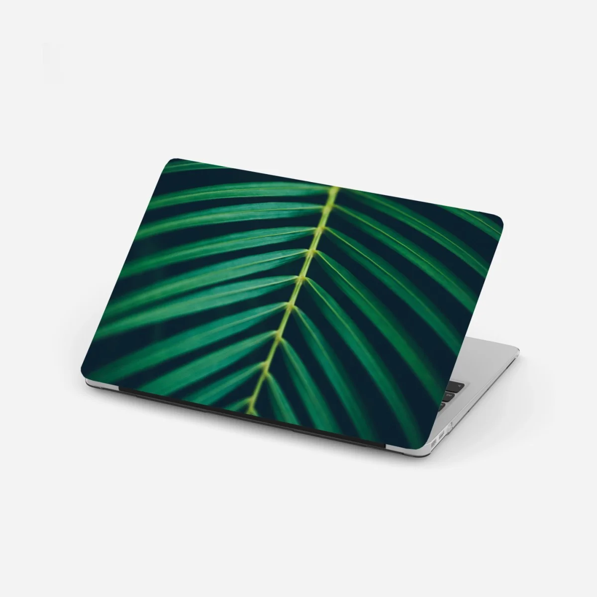Laptop-Aufkleber vertikales palmenblatt nahaufnahme – Wallnifity® Laptop-Aufkleber vertikales palmenblatt nahaufnahme – Wallnifity®