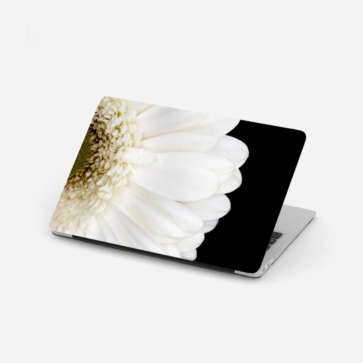 Laptop-Aufkleber weiße gerbera auf schwarzem hintergrund minimalistische nahaufnahme – Wallnifity® Laptop-Aufkleber weiße gerbera auf schwarzem hintergrund minimalistische nahaufnahme – Wallnifity®