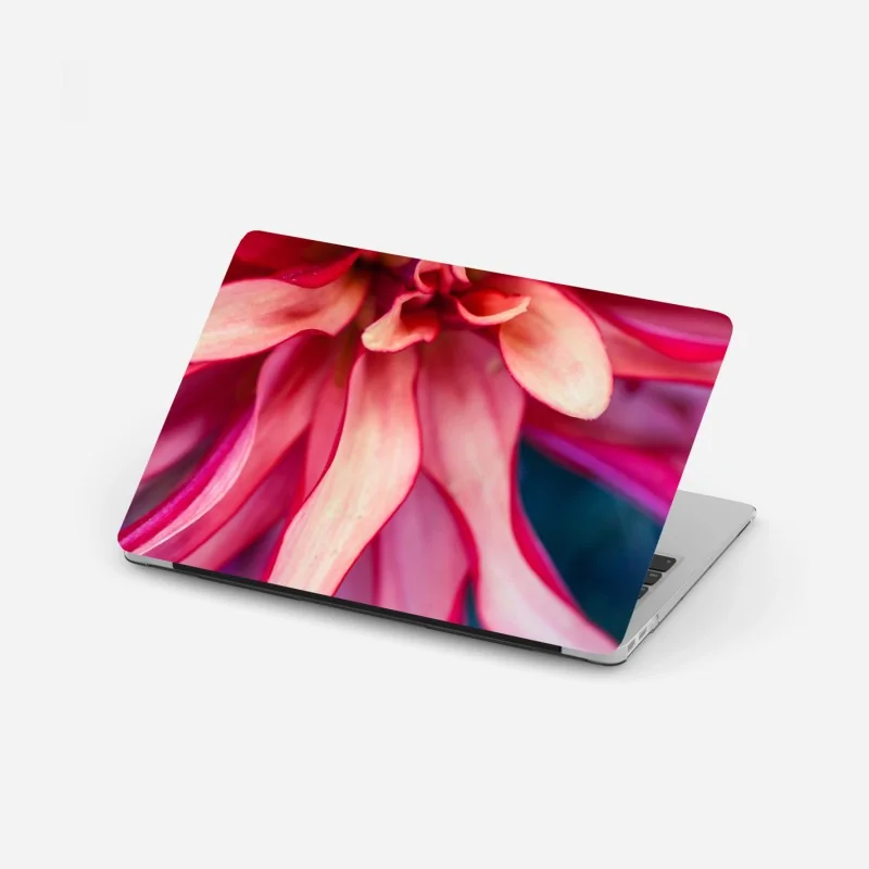 Laptop-Aufkleber vibrantes rosa blütenmakro