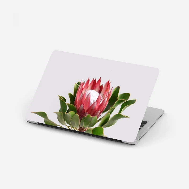 Laptop-Aufkleber rosa protea auf neutralem hintergrund