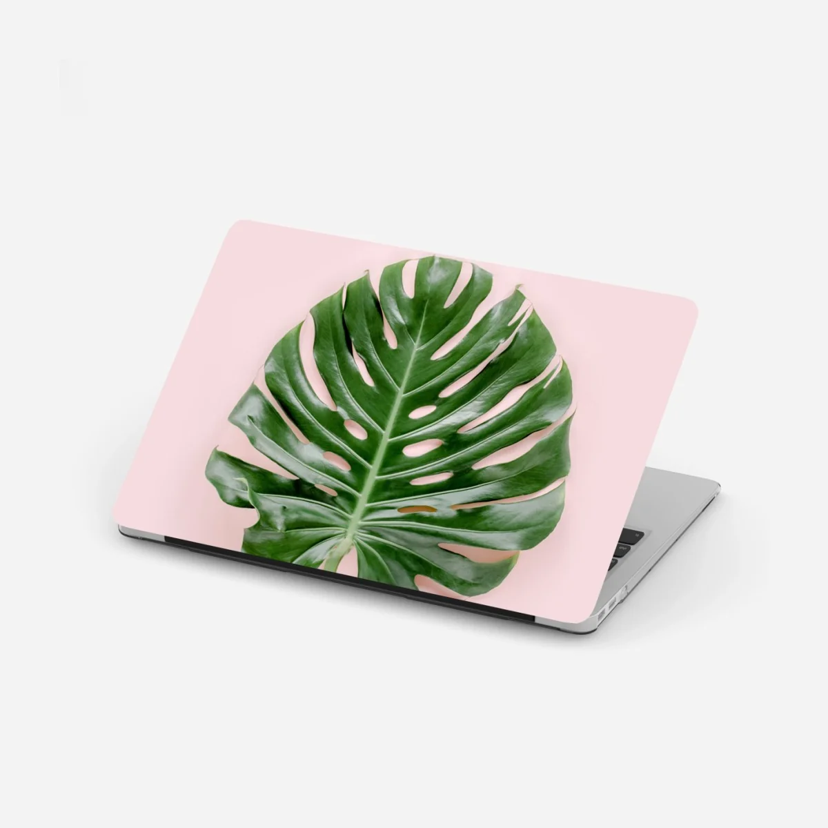 Laptop-Aufkleber monstera-blatt auf pastell-rosa hintergrund – Wallnifity® Laptop-Aufkleber monstera-blatt auf pastell-rosa hintergrund – Wallnifity®