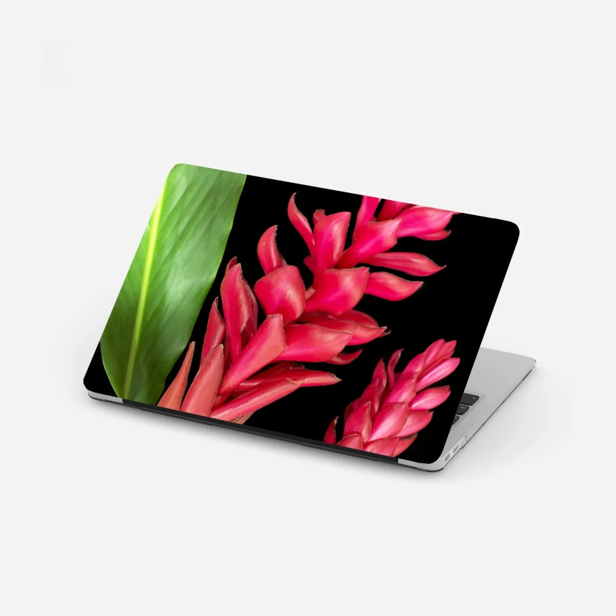 Laptop-Aufkleber leuchtende zier-ingwer-blüte auf schwarzem hintergrund – Wallnifity® Laptop-Aufkleber leuchtende zier-ingwer-blüte auf schwarzem hintergrund – Wallnifity®