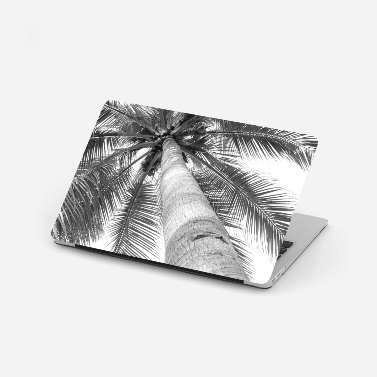 Laptop-Aufkleber monochrome palme aus der froschperspektive – Wallnifity®