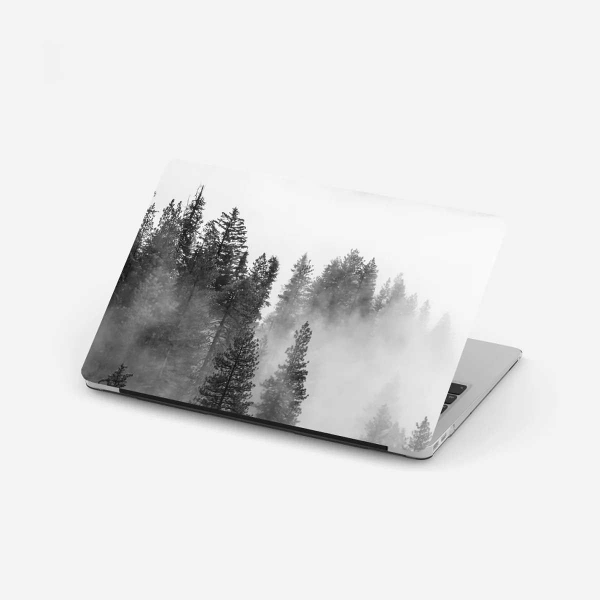 Laptop-Aufkleber nebliger Giant Forest, Sequoia National Park – Wallnifity®