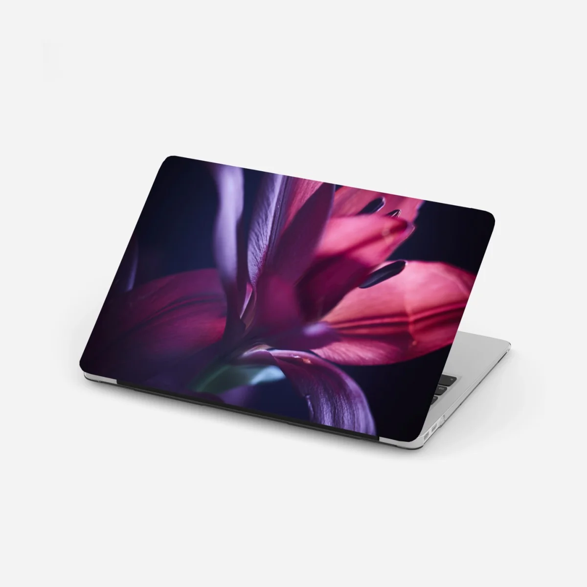 Laptop-Aufkleber rote lilie im halbdunkel – Wallnifity® Laptop-Aufkleber rote lilie im halbdunkel – Wallnifity®