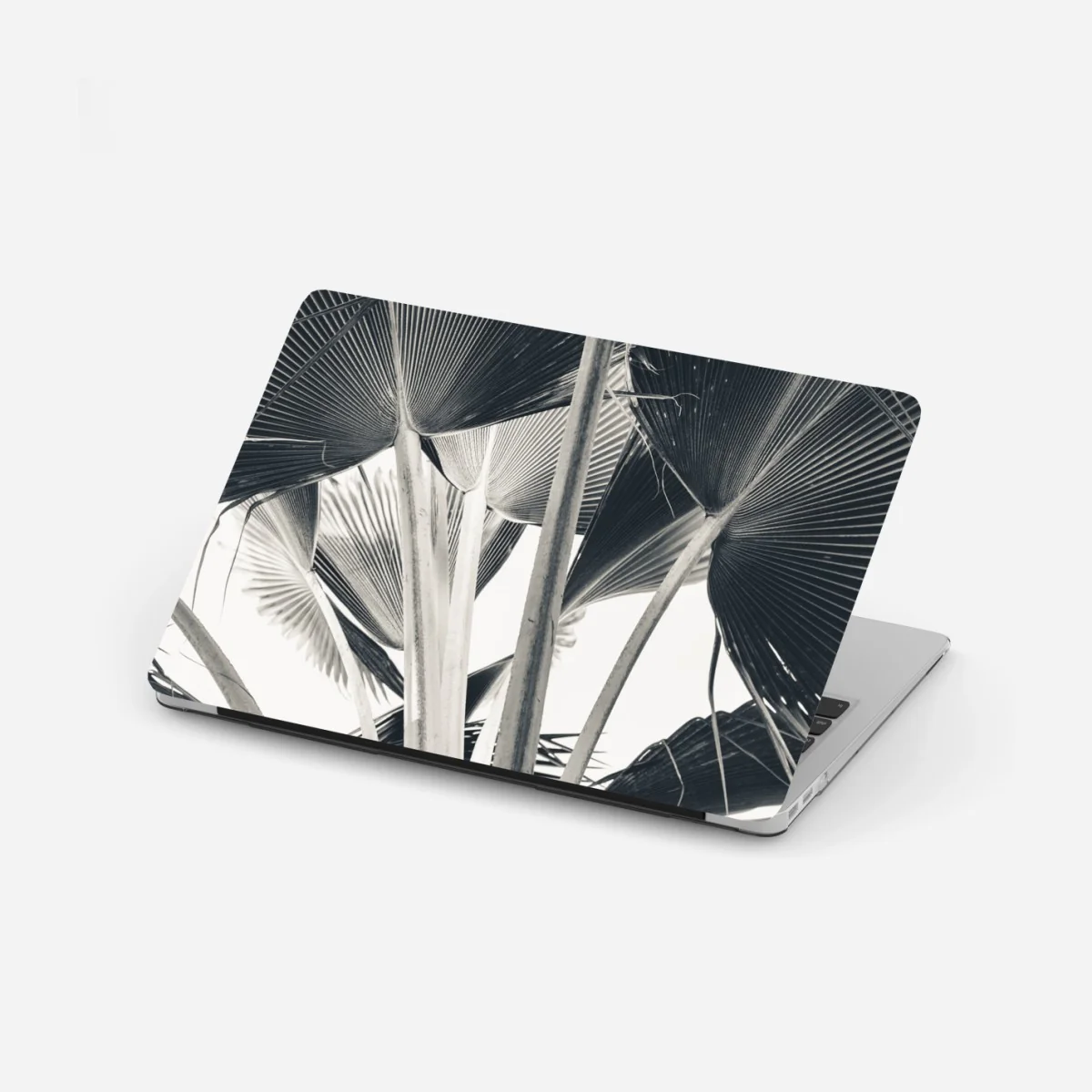 Laptop-Aufkleber tropische komposition von bananenblättern – Wallnifity®