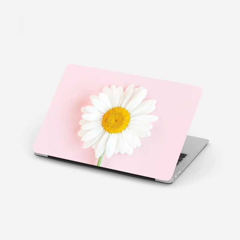 Laptop-Aufkleber weißes gänseblümchen auf pastellrosa hintergrund