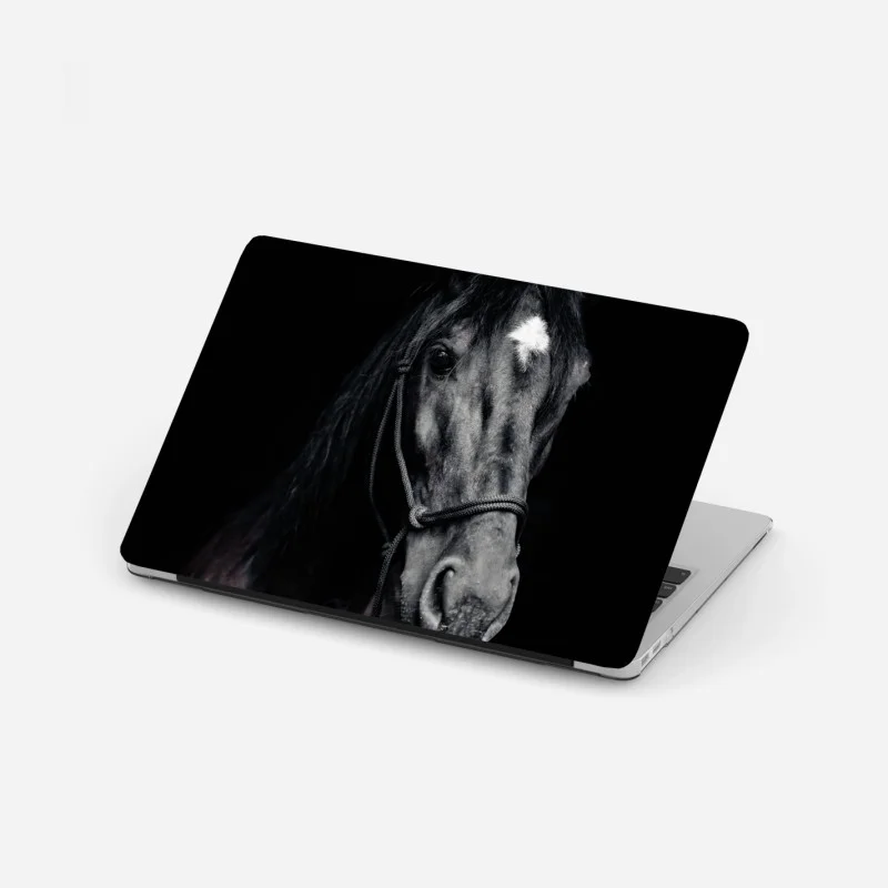 Laptop-Aufkleber majestätisches pferdeporträt