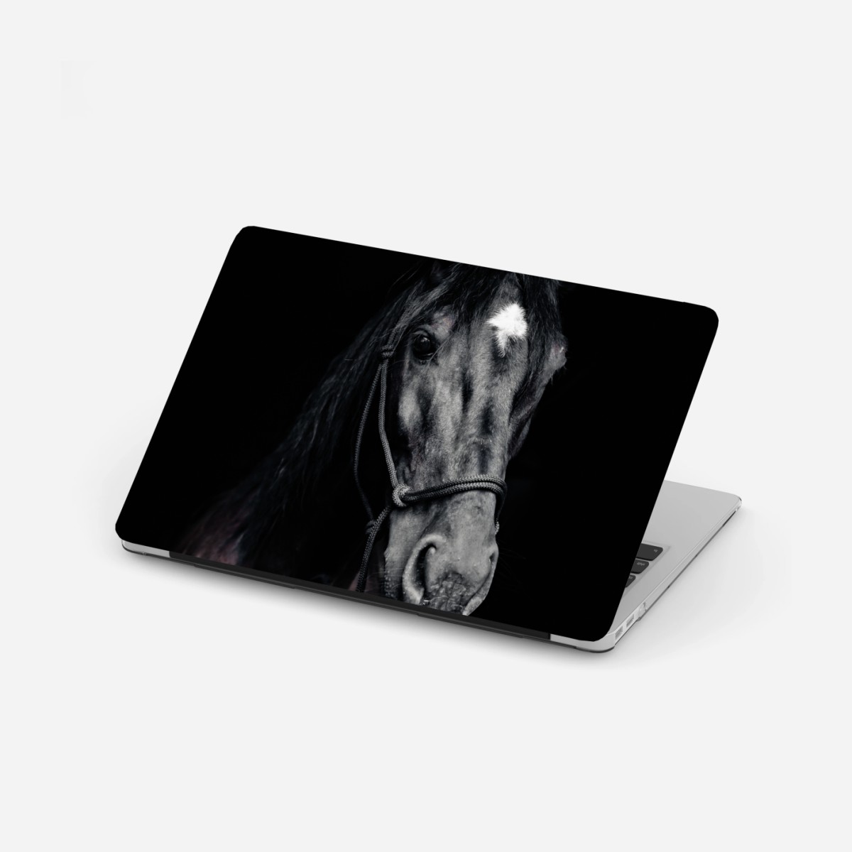 Laptop-Aufkleber majestätisches pferdeporträt – Wallnifity®