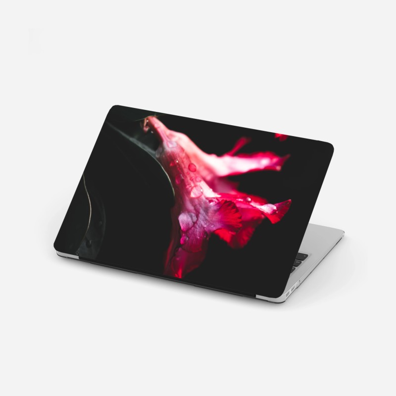 Laptop-Aufkleber friedlicher waldpfad – Wallnifity®