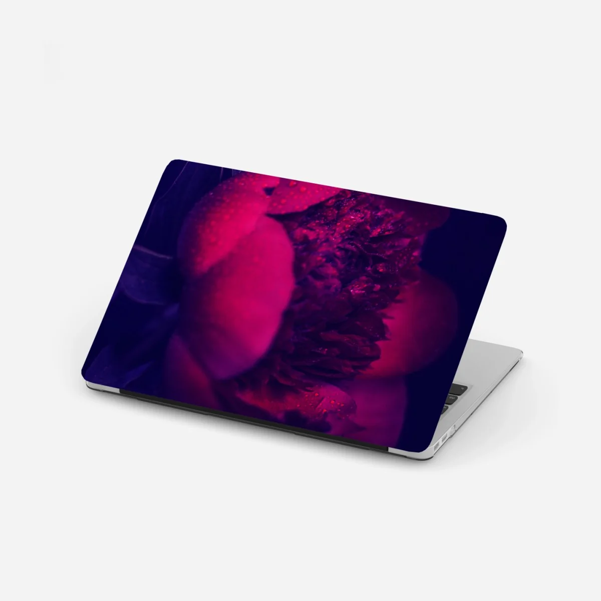 Laptop-Aufkleber stimmungsvolle rosa pfingstrose nahaufnahme – Wallnifity® Laptop-Aufkleber stimmungsvolle rosa pfingstrose nahaufnahme – Wallnifity®